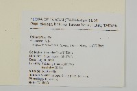 尼泊爾籟簫藏品圖，第2張