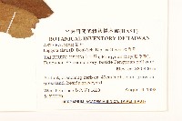 六角草藏品圖，第2張