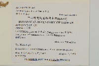 小艾、矮蒿藏品圖，第2張