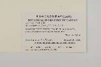 裂葉艾納香藏品圖，第2張