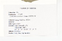 臺灣假山葵藏品圖，第2張