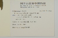 雷公藤藏品圖，第2張