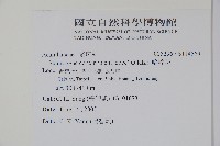 哈哼花藏品圖，第2張