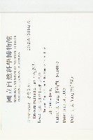 小毛氈苔藏品圖，第2張