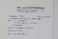 哈哼花藏品圖，第2張