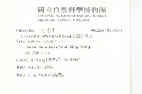 臺灣假山葵藏品圖，第2張