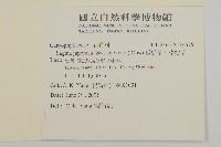 瓜槌草、漆姑草藏品圖，第2張