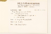 鼠麴舅藏品圖，第2張