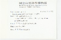 火焰草藏品圖，第2張