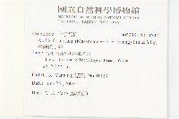 臺灣筷子芥藏品圖，第2張