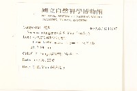 台東黃菀藏品圖，第2張