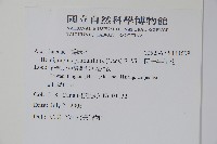 恆春半插花藏品圖，第2張