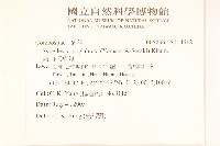 高山破傘菊藏品圖，第2張