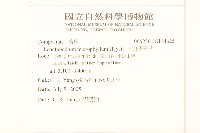 玉山薄雪草藏品圖，第2張