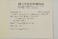 尼泊爾籟簫藏品圖，第2張