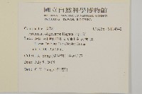 高山艾藏品圖，第2張