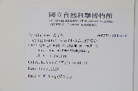 高山倒提壺藏品圖，第5張