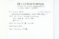 穗花八寶藏品圖，第2張