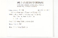 星果佛甲草藏品圖，第2張