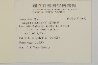 能高籟簫藏品圖，第5張