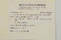 尼泊爾籟簫藏品圖，第2張