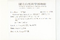 齒葉南芥、齒葉筷子芥藏品圖，第2張