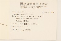 矮菊藏品圖，第2張