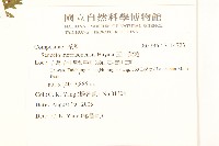 玉山黃菀藏品圖，第2張