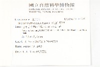 玉山佛甲草藏品圖，第2張