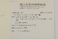 雪山馬蘭藏品圖，第2張