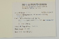 高山無心菜藏品圖，第2張