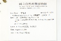 齒葉南芥、齒葉筷子芥藏品圖，第2張