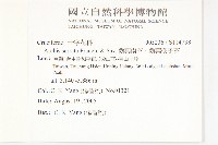 齒葉南芥、齒葉筷子芥藏品圖，第2張