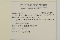 雪山艾藏品圖，第2張