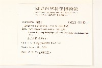 玉山飛蓬藏品圖，第2張