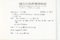 葉芽筷子芥藏品圖，第2張