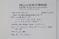 蘿芙木藏品圖，第2張