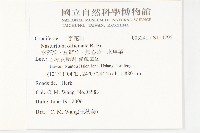 水芥菜、豆瓣菜、無心菜、水甕菜藏品圖，第2張