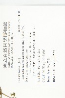 黑果馬交兒藏品圖，第2張