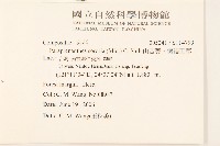 山苦藚、假福王草藏品圖，第2張