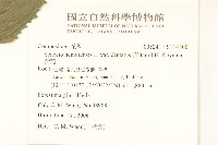 黃菀藏品圖，第2張