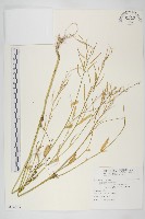 登錄號:S114803藏品圖，第1張