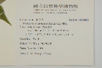 佩羅特木藏品圖，第2張