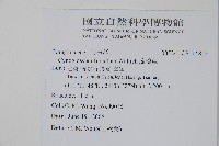 琉璃草藏品圖，第2張