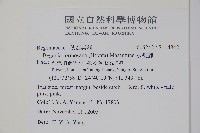 水鴨腳藏品圖，第2張