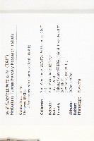 軟毛柿藏品圖，第2張