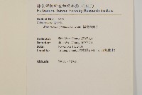 福建賽衛矛、福建假衛矛藏品圖，第2張