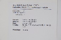 登錄號:S114918藏品圖，第2張