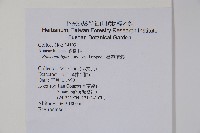 臺灣藤漆藏品圖，第2張