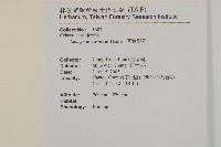 厚葉衛矛, 源一木藏品圖，第2張